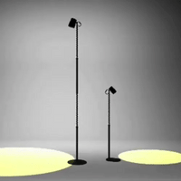 Helio Plant Lights - Plant Lights - ACCE - ADJU - 5594 - Tumbleweed Plants - Online Plant Delivery Singapore