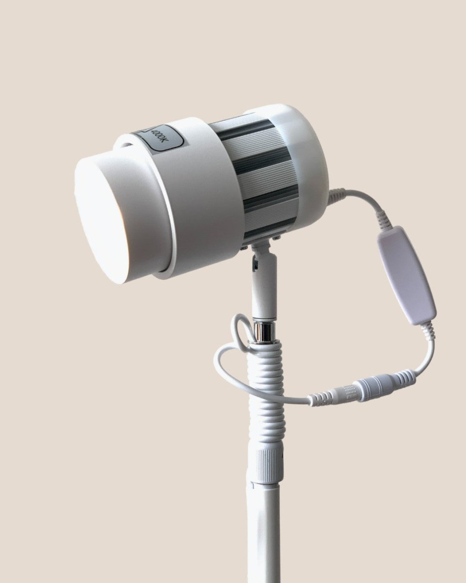 Adjustable Spotlight (2m) - White - Accessory - Tumbleweed Plants - Online Plant Delivery Singapore