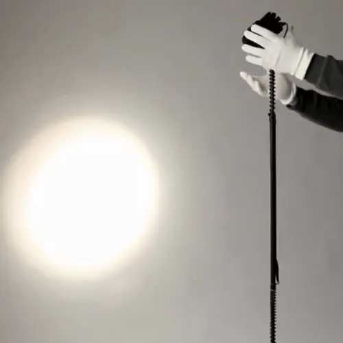 Helio Plant Lights - Plant Lights - ACCE - ADJU - 5593 - Tumbleweed Plants - Online Plant Delivery Singapore