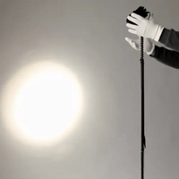 Helio Plant Lights - Plant Lights - ACCE - ADJU - 5593 - Tumbleweed Plants - Online Plant Delivery Singapore