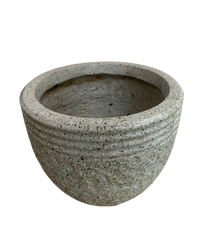 SECOND CHANCE: Sessa Pot with FREE assorted plant - Second Chance -  Tumbleweed Plants