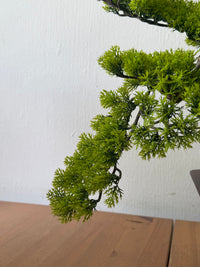 Classic Bonsai - Real-Trunk Artificial - Plant Arrangement -  Tumbleweed Plants