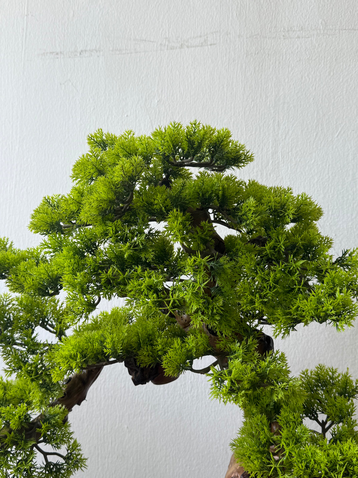 Classic Bonsai - Real-Trunk Artificial - Plant Arrangement -  Tumbleweed Plants