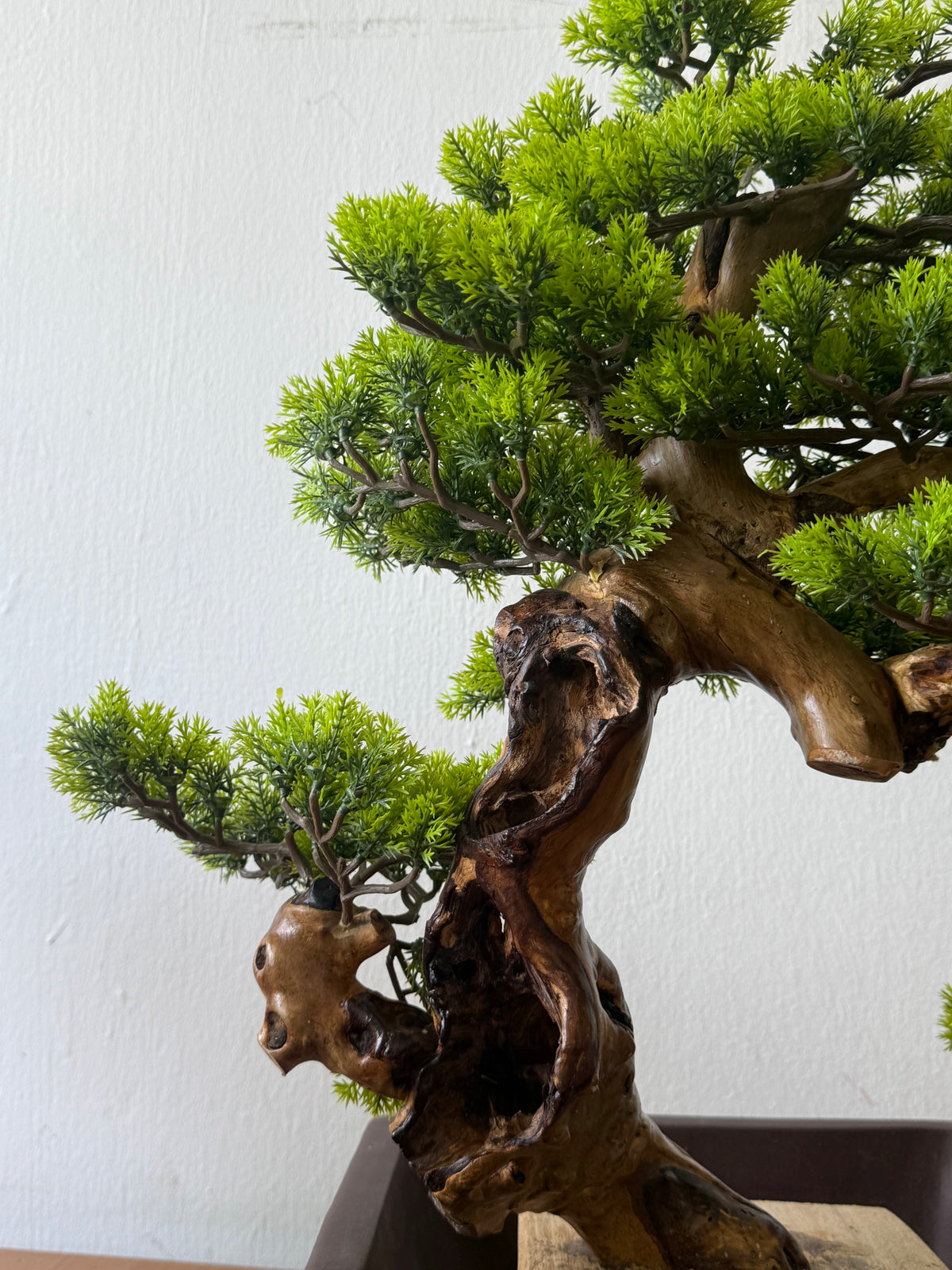 Classic Bonsai - Real-Trunk Artificial - Plant Arrangement -  Tumbleweed Plants