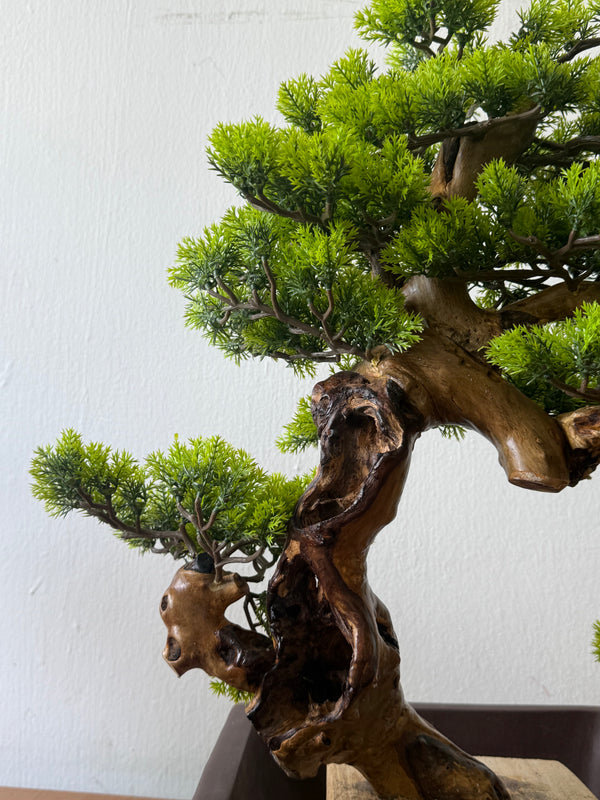 Classic Bonsai - Real-Trunk Artificial - Plant Arrangement -  Tumbleweed Plants