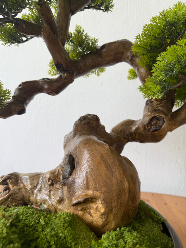 Zen Grove Bonsai - Real-Trunk Artificial - Plant Arrangement -  Tumbleweed Plants