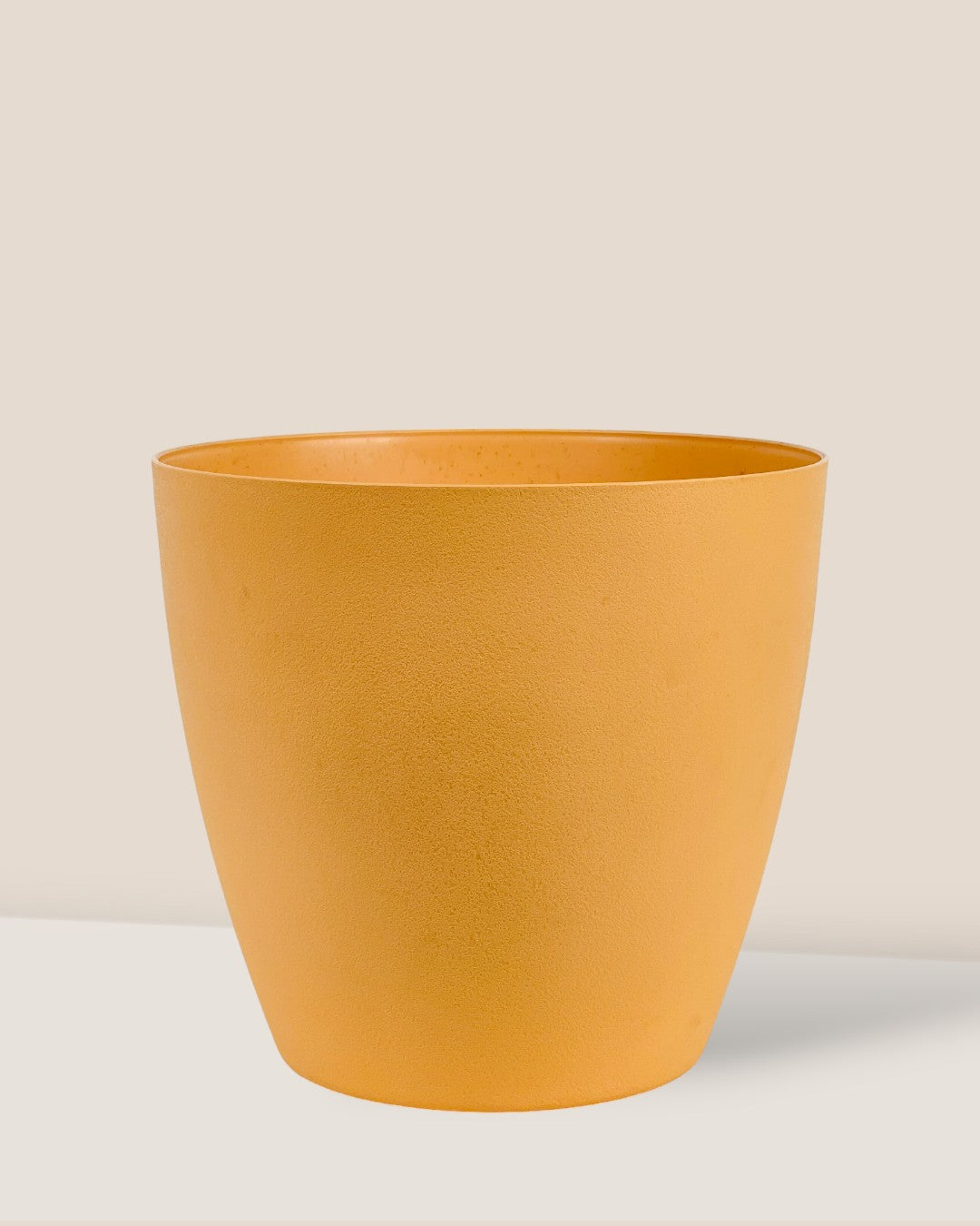 Mila XL - Pots -  Tumbleweed Plants