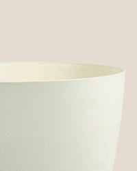 Mila XL - Pots -  Tumbleweed Plants