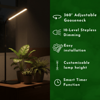 BLOOM Table Growlights - Plant Lights - 5474747354611 - Tumbleweed Plants - Online Plant Delivery Singapore