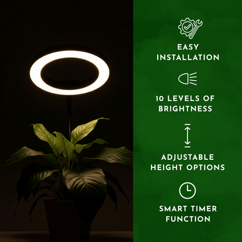 HALO Table Plant Lights - Plant Lights - 5653683746981 - Tumbleweed Plants - Online Plant Delivery Singapore