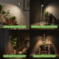 Helio Plant Lights - Plant Lights - ACCE - ADJU - 5593 - Tumbleweed Plants - Online Plant Delivery Singapore