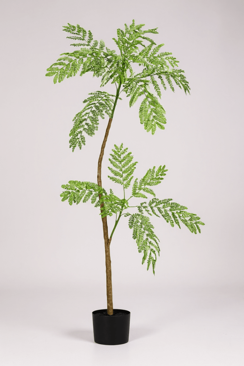 Jacaranda Tree (Life - like Artificial) - Potted plant - 5232104620323 - 0 - Tumbleweed Plants - Online Plant Delivery Singapore