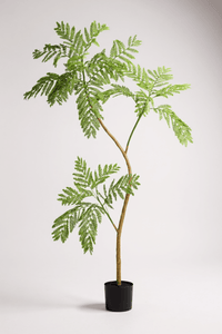 Jacaranda Tree (Life - like Artificial) - Potted plant - 5232104620324 - 0 - Tumbleweed Plants - Online Plant Delivery Singapore