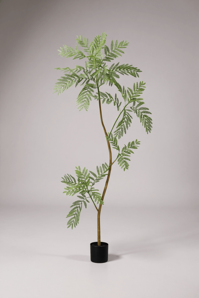 Jacaranda Tree (Life - like Artificial) - Potted plant - 5232104620325 - 0 - Tumbleweed Plants - Online Plant Delivery Singapore