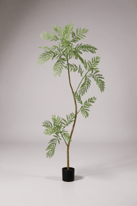 Jacaranda Tree (Life - like Artificial) - Potted plant - 5232104620325 - 0 - Tumbleweed Plants - Online Plant Delivery Singapore