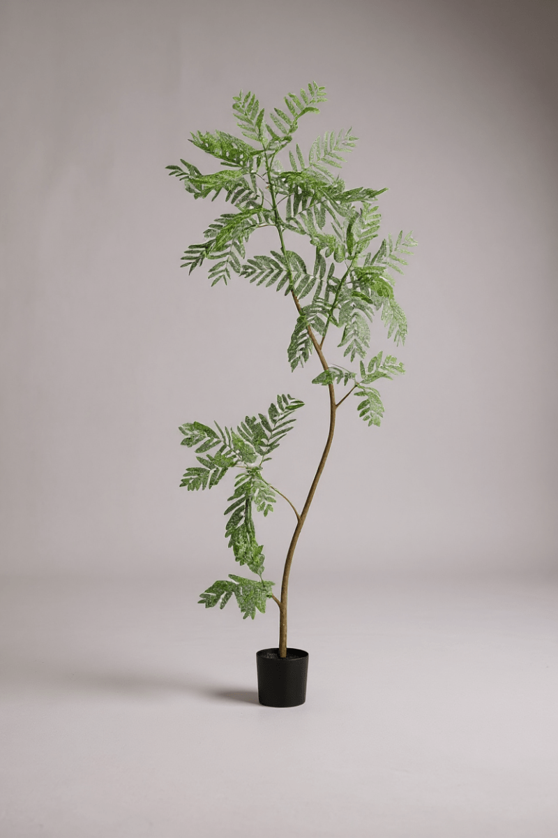 Jacaranda Tree (Life - like Artificial) - Potted plant - 5232104620326 - 0 - Tumbleweed Plants - Online Plant Delivery Singapore