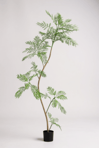 Jacaranda Tree (Life - like Artificial) - Potted plant - 5232104620327 - 0 - Tumbleweed Plants - Online Plant Delivery Singapore