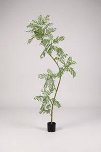 Jacaranda Tree (Life - like Artificial) - Potted plant - 5232104620328 - 0 - Tumbleweed Plants - Online Plant Delivery Singapore