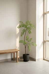 Jacaranda Tree (Life - like Artificial) - Potted plant - 5232104620323 - 0 - Tumbleweed Plants - Online Plant Delivery Singapore