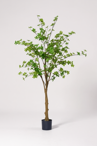 Japanese Andromeda (Life-like Artificial) - Potted plant -  Tumbleweed Plants