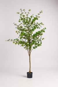 Japanese Andromeda (Life-like Artificial) - Potted plant -  Tumbleweed Plants