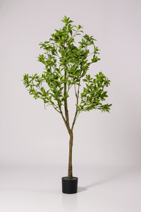 Japanese Andromeda (Life-like Artificial) - Potted plant -  Tumbleweed Plants