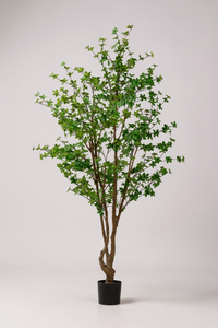 Japanese Andromeda (Life-like Artificial) - Potted plant -  Tumbleweed Plants
