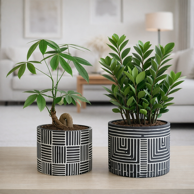 Kora Strip Pot