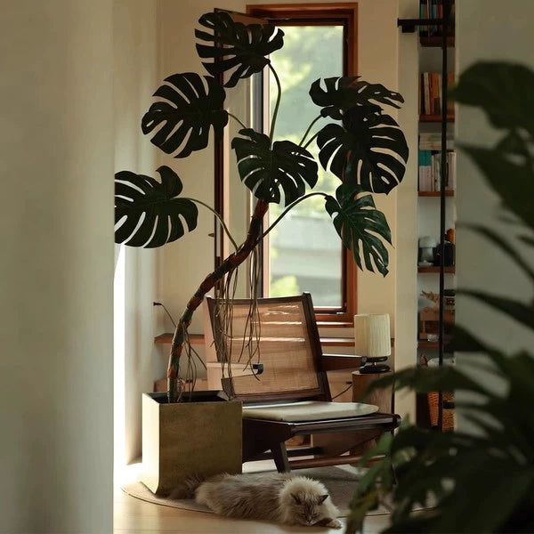 Large Monstera (Life-life Artificial) - Potted plant -  Tumbleweed Plants