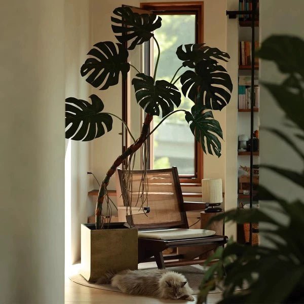 Large Monstera (Life-like Artificial) - Potted plant - 6057065350537 - Tumbleweed Plants - Online Plant Delivery Singapore