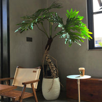 Large Monstera (Life-life Artificial) - Potted plant -  Tumbleweed Plants