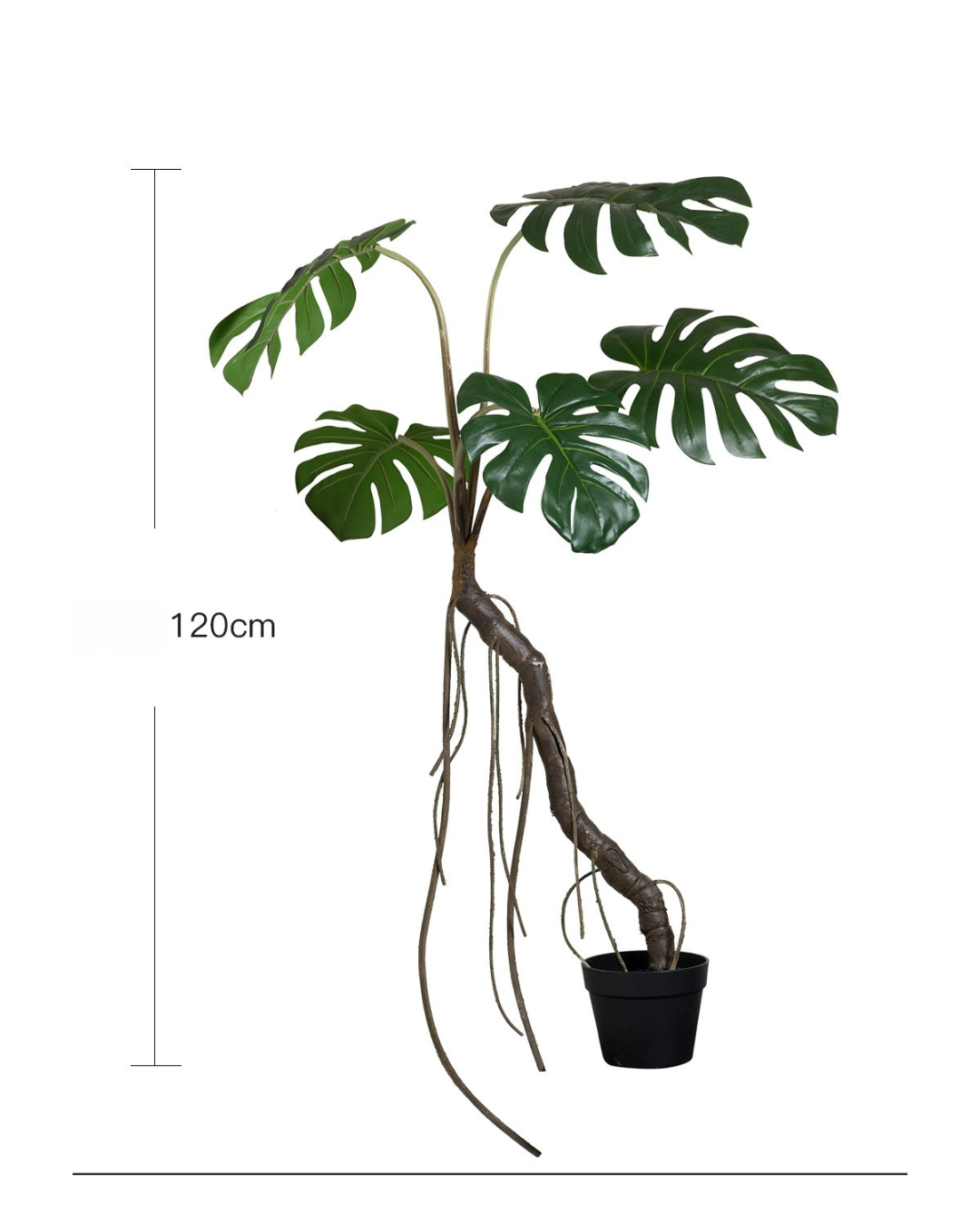 Large Monstera (Life-life Artificial) - Potted plant -  Tumbleweed Plants