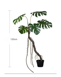 Large Monstera (Life-life Artificial) - Potted plant -  Tumbleweed Plants
