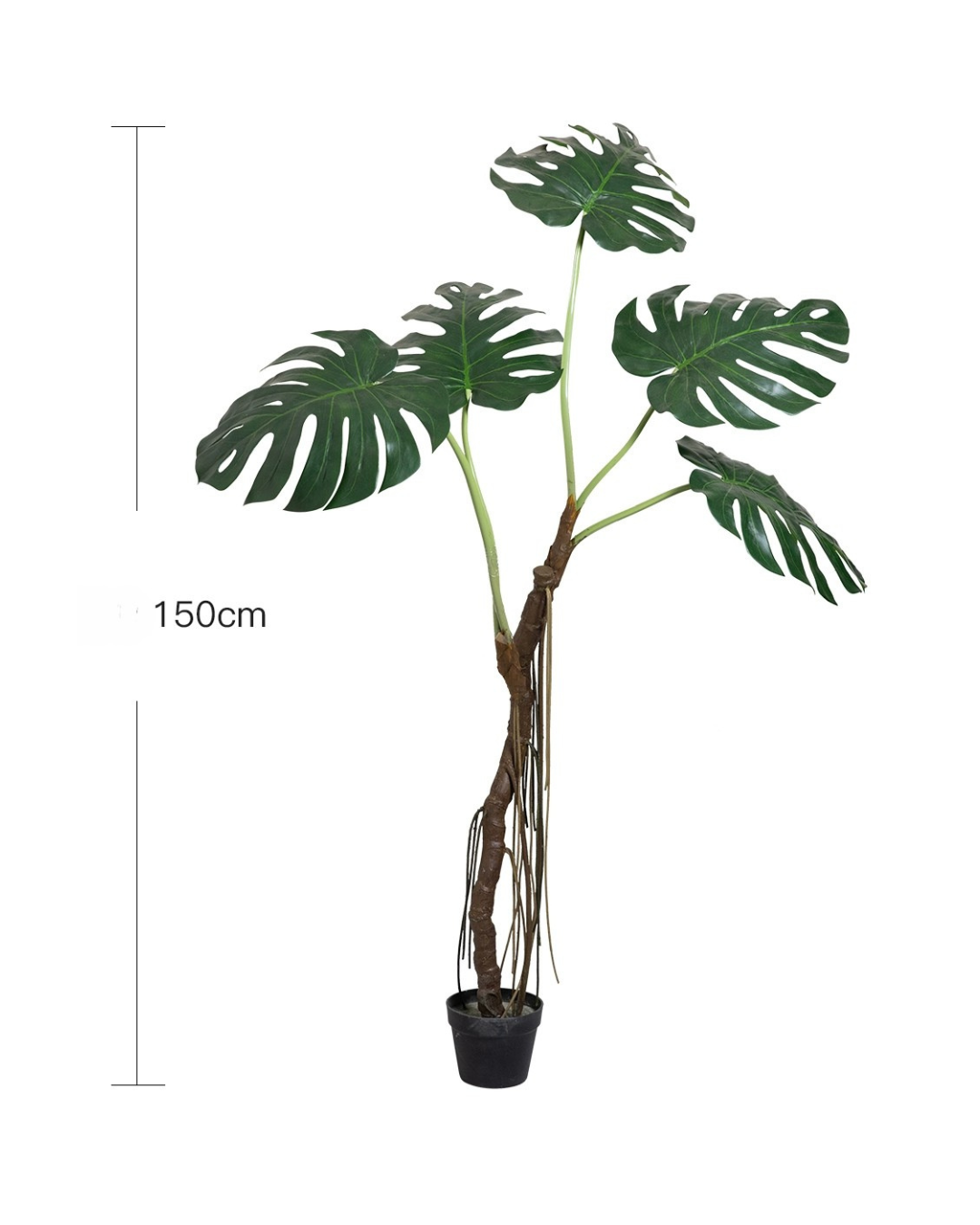 Large Monstera (Life-life Artificial) - Potted plant -  Tumbleweed Plants