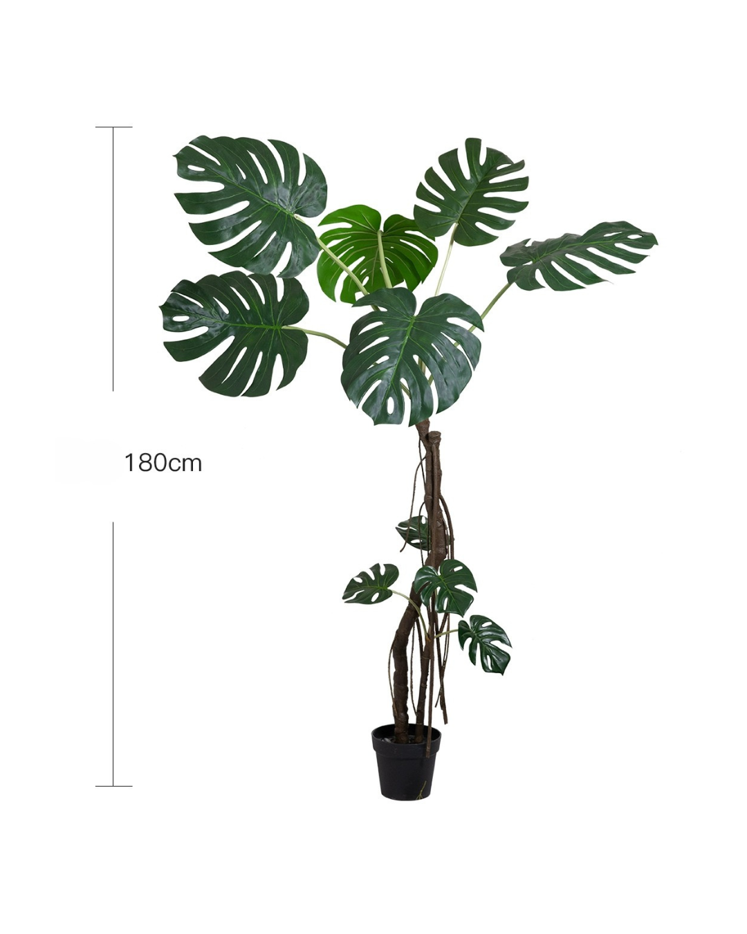 Large Monstera (Life-life Artificial) - Potted plant -  Tumbleweed Plants