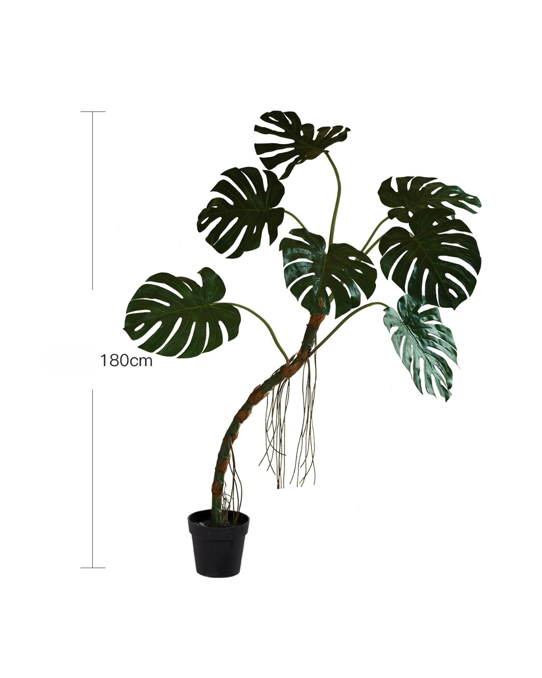 Large Monstera (Life-life Artificial) - Potted plant -  Tumbleweed Plants