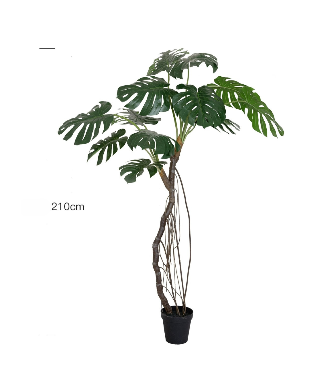 Large Monstera (Life-life Artificial) - Potted plant -  Tumbleweed Plants