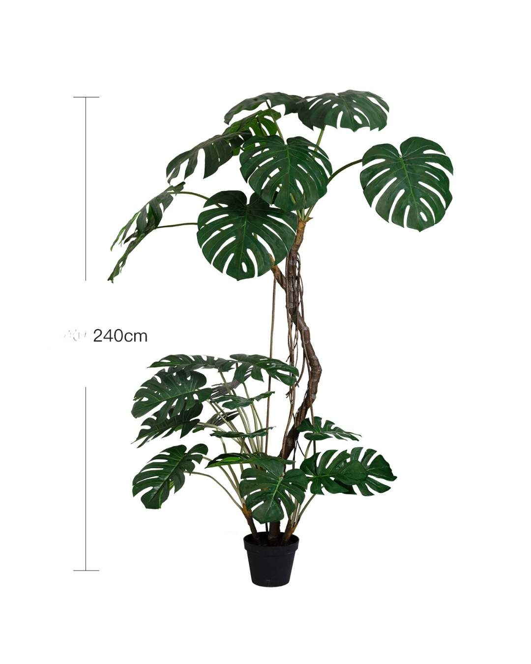 Large Monstera (Life-life Artificial) - Potted plant -  Tumbleweed Plants