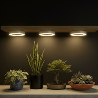 HALO Shelves Plant Lights - Plant Lights - 5469656512121 - Tumbleweed Plants - Online Plant Delivery Singapore