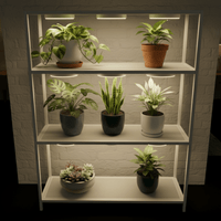 HALO Shelves Plant Lights - Plant Lights - 5469656512121 - Tumbleweed Plants - Online Plant Delivery Singapore