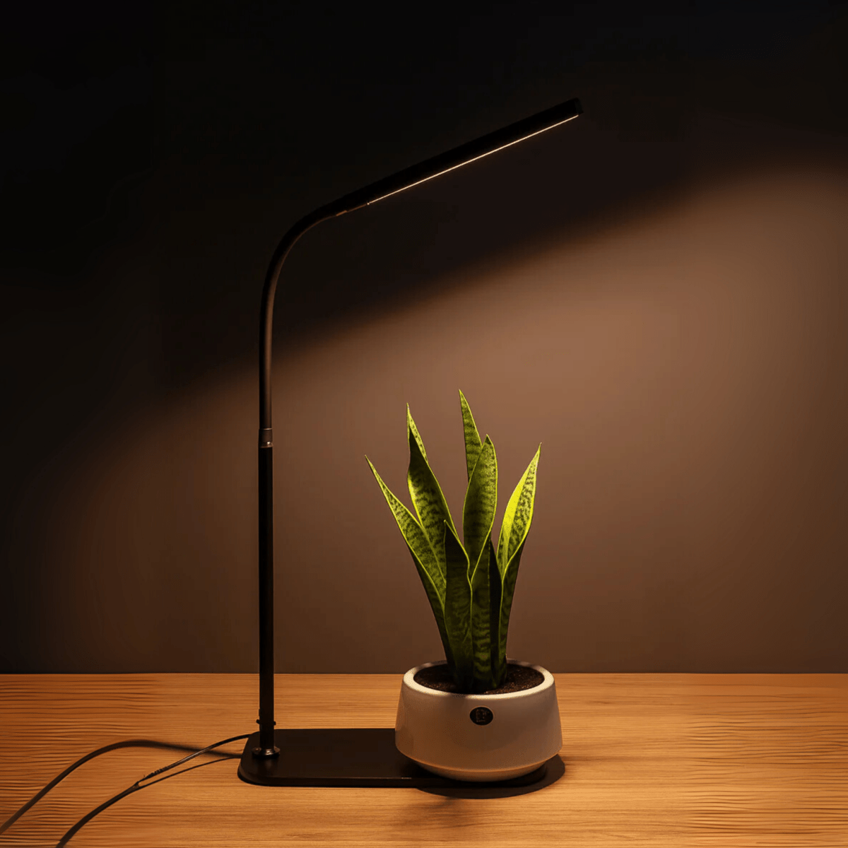 BLOOM Table Growlights - Plant Lights - 5474747354611 - Tumbleweed Plants - Online Plant Delivery Singapore