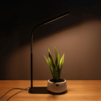 BLOOM Table Growlights - Plant Lights - 5474747354611 - Tumbleweed Plants - Online Plant Delivery Singapore
