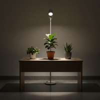 Helio Plant Lights - Plant Lights - ACCE - ADJU - 5593 - Tumbleweed Plants - Online Plant Delivery Singapore