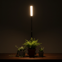 BLOOM Table Growlights - Plant Lights - 5474747354611 - Tumbleweed Plants - Online Plant Delivery Singapore