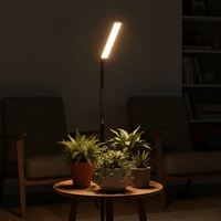 BLOOM Table Growlights - Plant Lights - 5474747354611 - Tumbleweed Plants - Online Plant Delivery Singapore