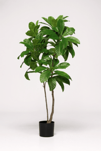 Loquat Tree (Life - like Artificial) - Potted plant - 1838465394201858051 - 0 - Tumbleweed Plants - Online Plant Delivery Singapore