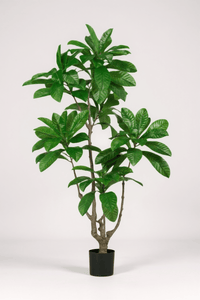 Loquat Tree (Life - like Artificial) - Potted plant - 1838465394201858052 - 0 - Tumbleweed Plants - Online Plant Delivery Singapore