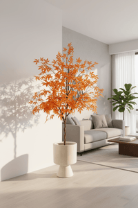 Maple Tree (Life - like Artificial) - Potted plant - 1838465397993508866 - 0 - Tumbleweed Plants - Online Plant Delivery Singapore