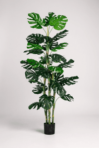 Monstera Tree (Life - life Artificial) - Potted plant - 5148161961603 - Tumbleweed Plants - Online Plant Delivery Singapore