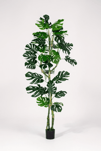 Monstera Tree (Life - life Artificial) - Potted plant - 5148161961612 - Tumbleweed Plants - Online Plant Delivery Singapore